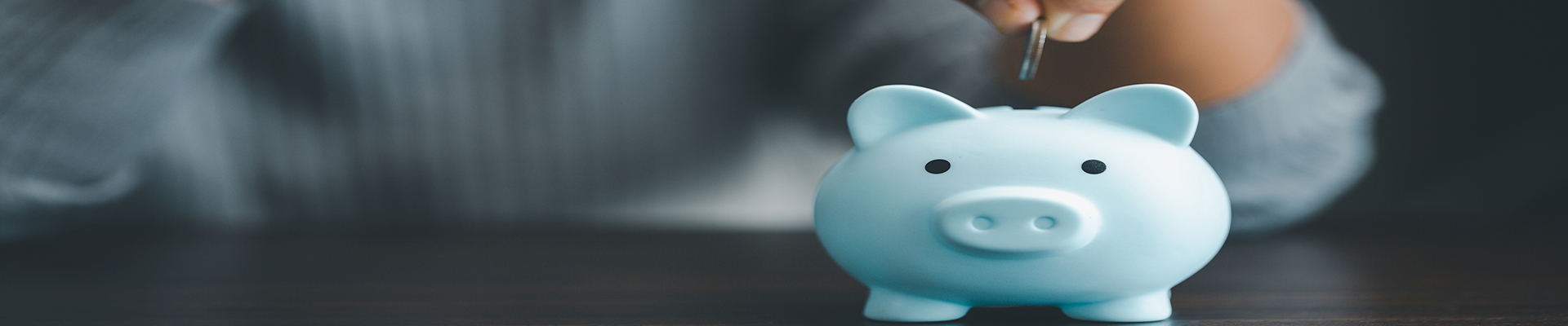 Ad for Provident Need help with your savings goals?