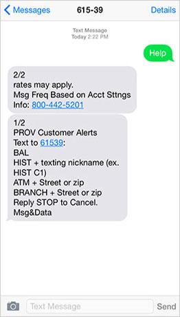 Image of sample screen showing options for Mobile Banking texting